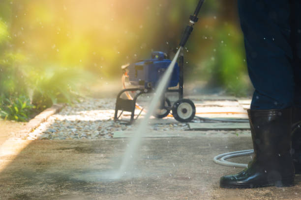 Best Driveway Pressure Washing  in Juno Beach, FL